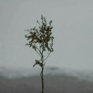 少妇自慰内裤免费观看
